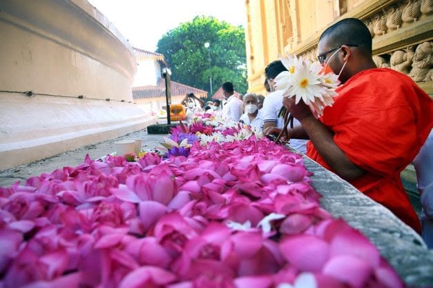 Keleniya Temple 3 un monaco buddista fa la sua offerta floreale. Foto Ajith Perera Xinhua Gli srilankesi festeggiano la prima visita del Buddha sull'isola