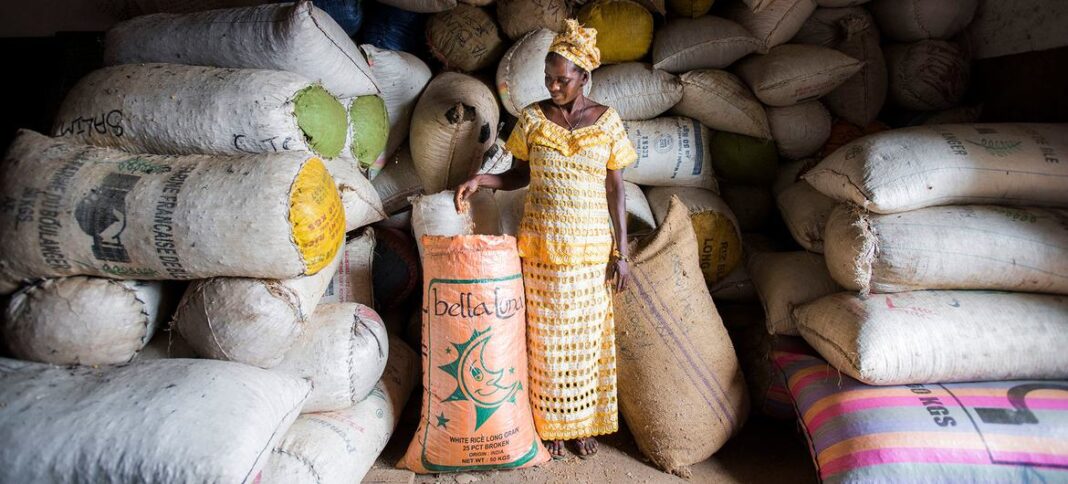 FAO/Sebastian Liste Eine Bäuerin steht vor Saatgutsäcken, die in einem Lagerhaus in einem Agrarwirtschaftszentrum in Sierra Leone gelagert werden.