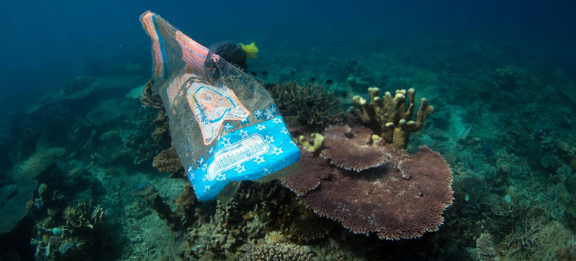 Marine plastic debris has impacted over 600 marine species.