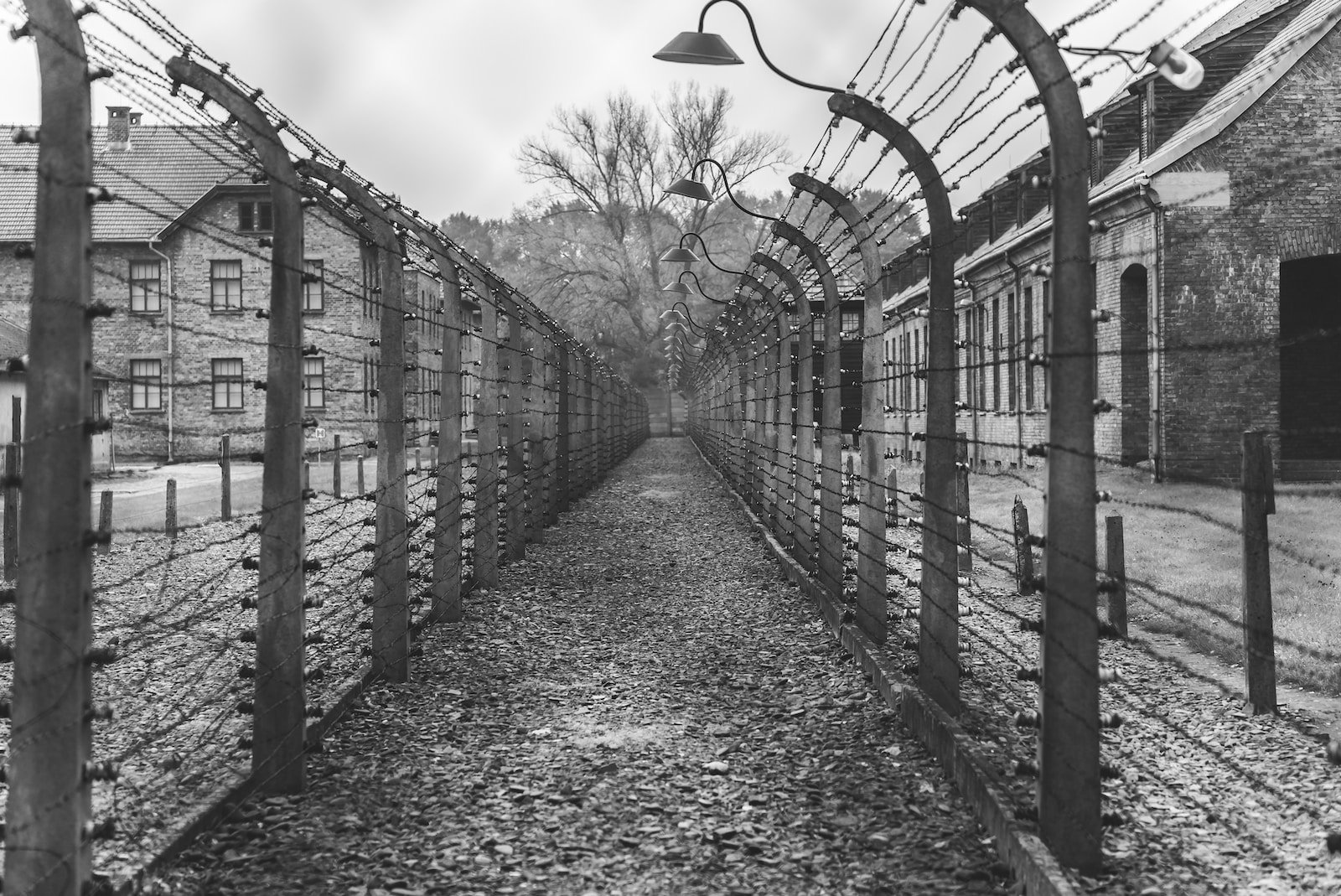 Holocaust remembrance: beware ‘siren songs of hate’ – UN chief