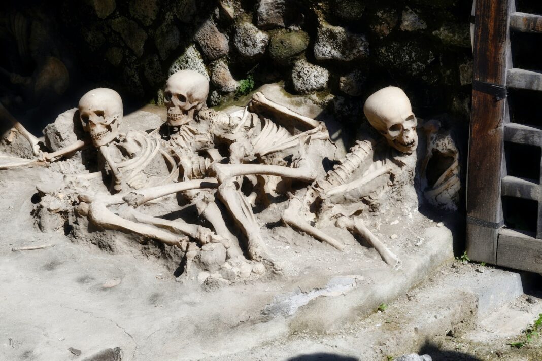 a group of skeletons sitting on top of a pile of sand
